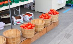 «Полезнее фруктовых»: диетолог объяснила, чем хорош томатный сок