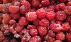 Названы продукты, которые помогают сохранить здоровье печени