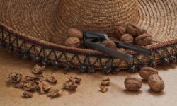 Стоматолог Кузнецова назвала орехи, полезные для здоровья зубов