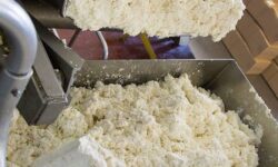 Эндокринолог Павлова перечислила восемь продуктов против болезни Альцгеймера