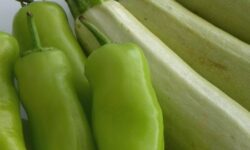 Врач-диетолог назвал помогающий похудеть овощ