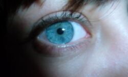 Офтальмохирург перечислил факторы, которые негативно влияют на зрение