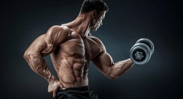 Силовые тренировки: что это такое, в чем польза и вред, как заниматься правильно (видео) Силовые тренировки: что это такое, в чем польза и вред, как заниматься правильно (видео)